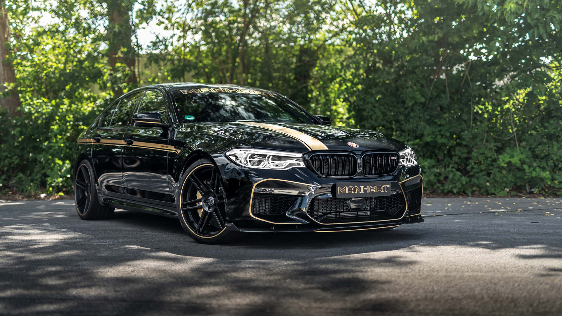 Elevate Your Driving Experience